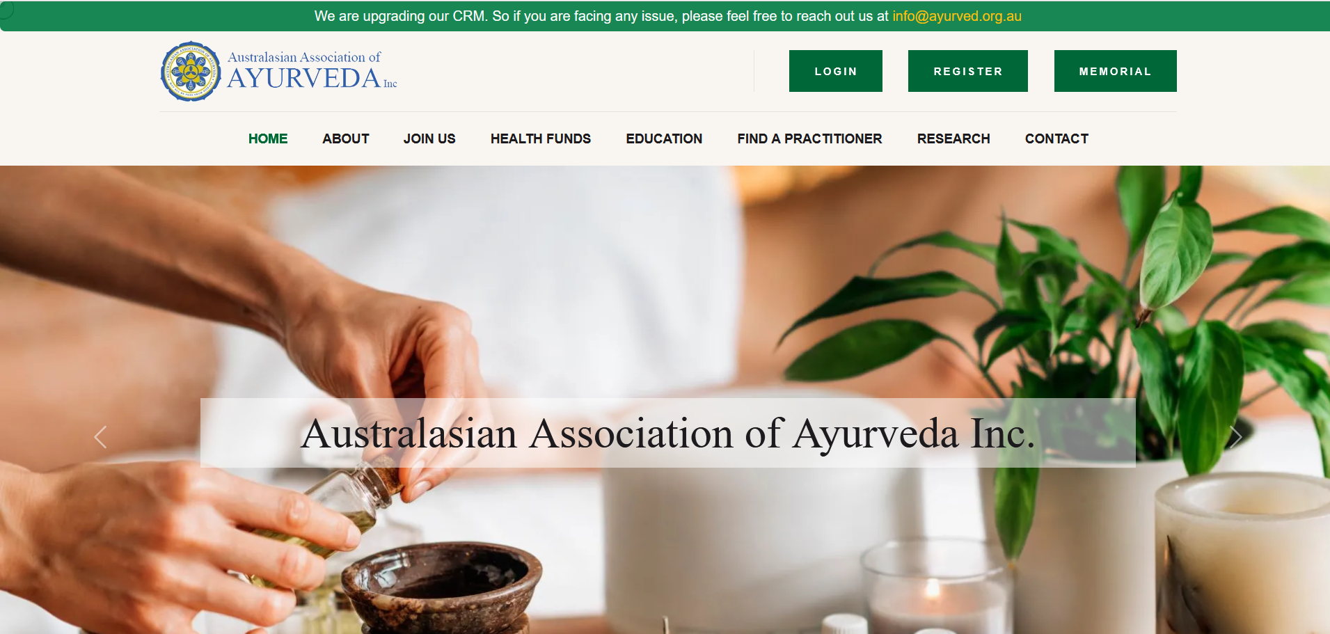 Website Project 3